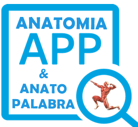 ANATOMIA.app Anatopalabra, Anatomía Quiz y AnatomiKIDS